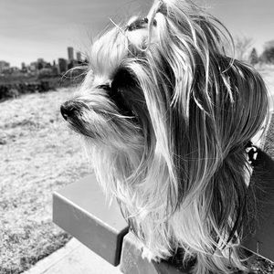 Meet your Posher, Kim